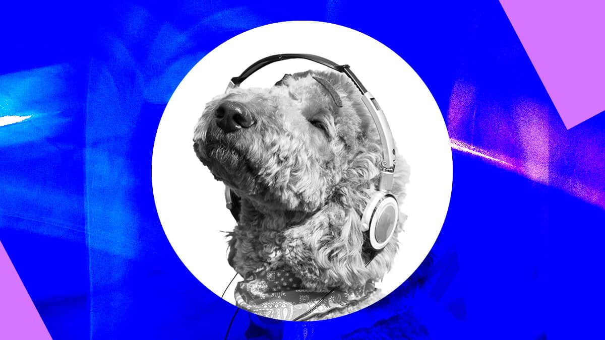 ¿Puede la música hacer que sea más productivo?